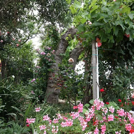 아파트 By The Sea Barbat, Rab - 4975